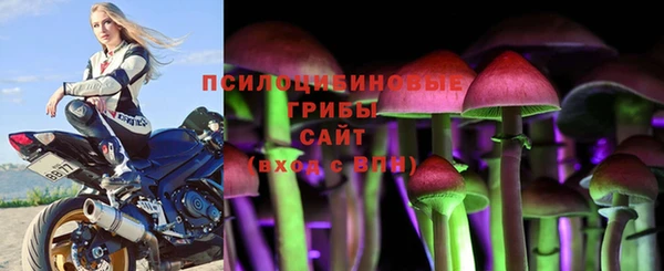 а пвп мука Верея
