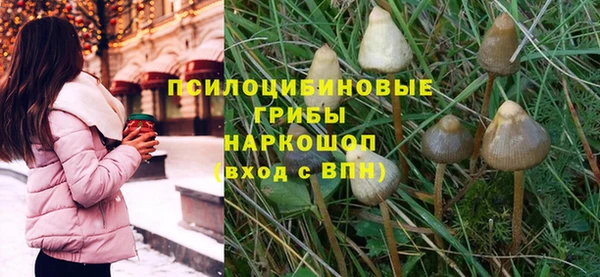а пвп мука Верея