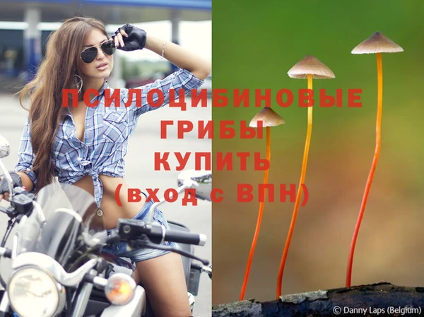 альфа пвп Верхний Тагил
