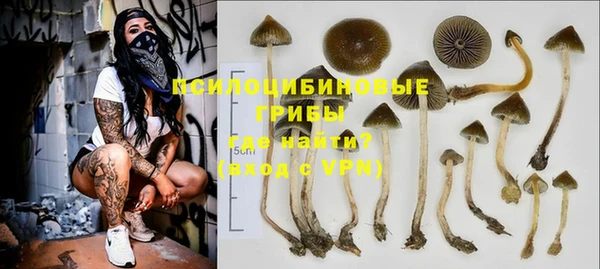а пвп мука Верея