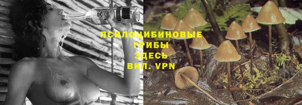 гидропоника Верхнеуральск